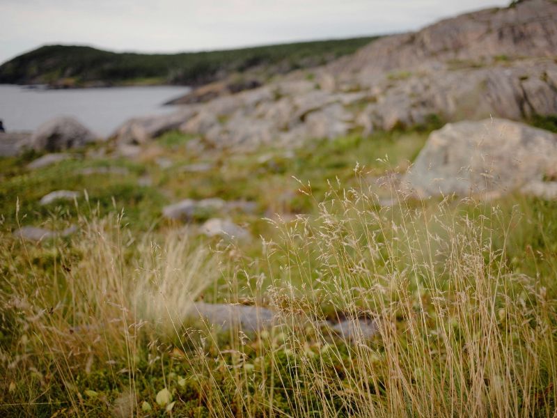 Luma Hydrogen Fast-Tracks Nova Scotia Hydrogen and Helium Exploration with Completed 2D Seismic Survey and Integrated Soil-Gas Program